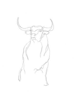 Picture of BULL CONTOUR II