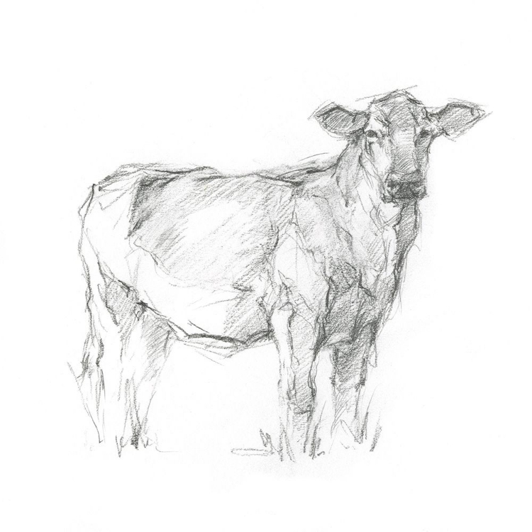 Picture of BOVINE STUDY I