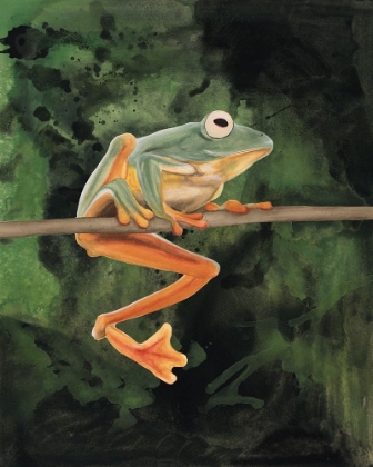 Picture of WATERCOLOR TREE FROGS I