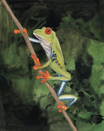 Picture of WATERCOLOR TREE FROGS II