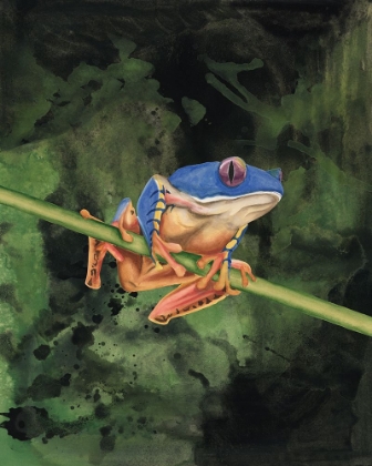 Picture of WATERCOLOR TREE FROGS III