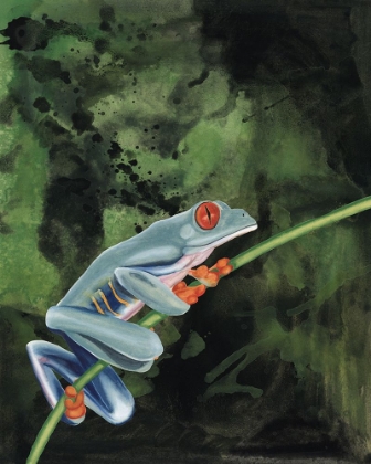 Picture of WATERCOLOR TREE FROGS IV