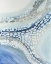 Picture of TEEMING II