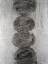 Picture of STACKED HALOS I