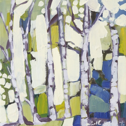 Picture of BIRCH IN SUMMER I
