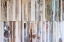 Picture of TEXTURED GRAIN VII