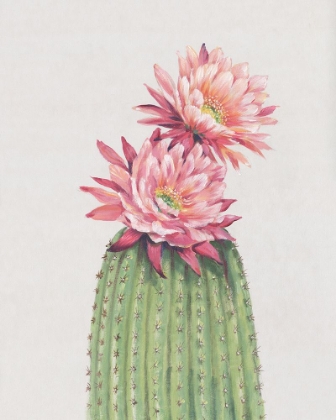 Picture of CACTUS BLOSSOM II