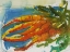 Picture of FRESH CARROTS II