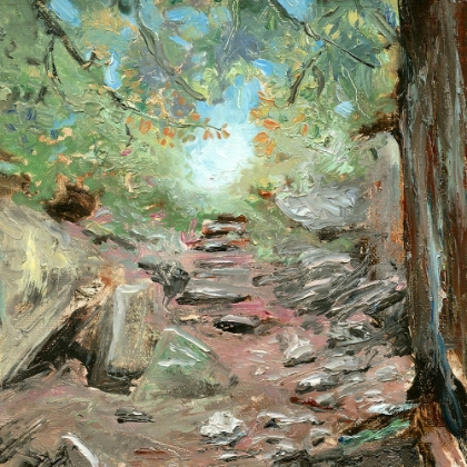 Picture of TRAIL IN WOODS