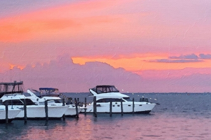 Picture of PINES HARBOR PINK