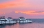 Picture of PINES HARBOR PINK
