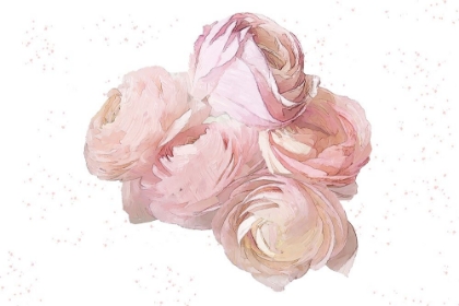 Picture of PINK PEONIES