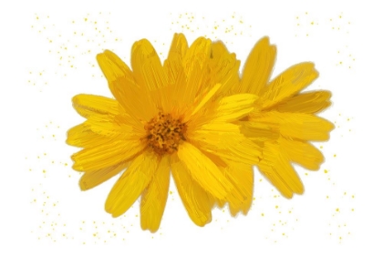 Picture of YELLOW ASTERS