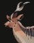 Picture of KUDU
