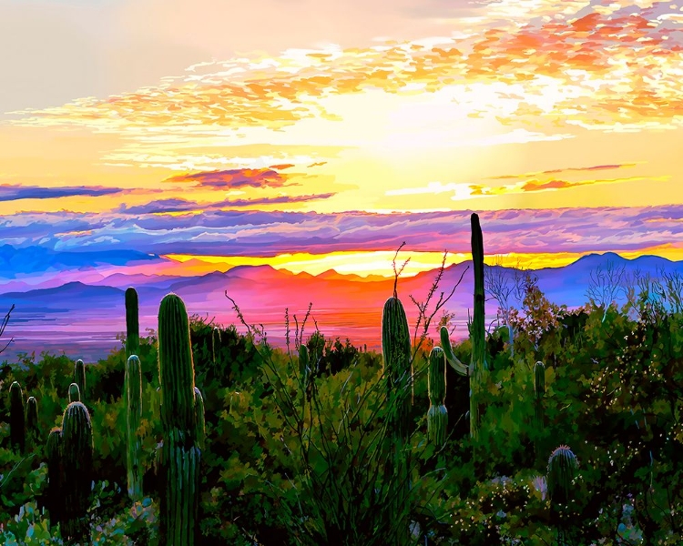 Picture of ARIZONA SUNSET