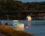 Picture of BOATS IN THE HARBOR