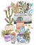 Picture of PLANT GARDEN II