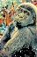 Picture of GORILLA GRAFFITIED II