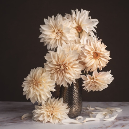 Picture of A DAHLIA CASCADE