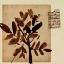 Picture of LAST MEMORY II