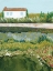 Picture of VINCENTS GARDEN I
