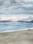 Picture of TWILIGHT COAST II
