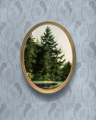 Picture of WOODLAND FIR CAMEO I