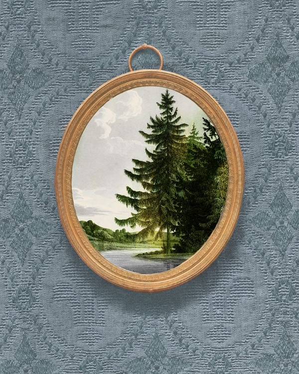 Picture of WOODLAND FIR CAMEO II