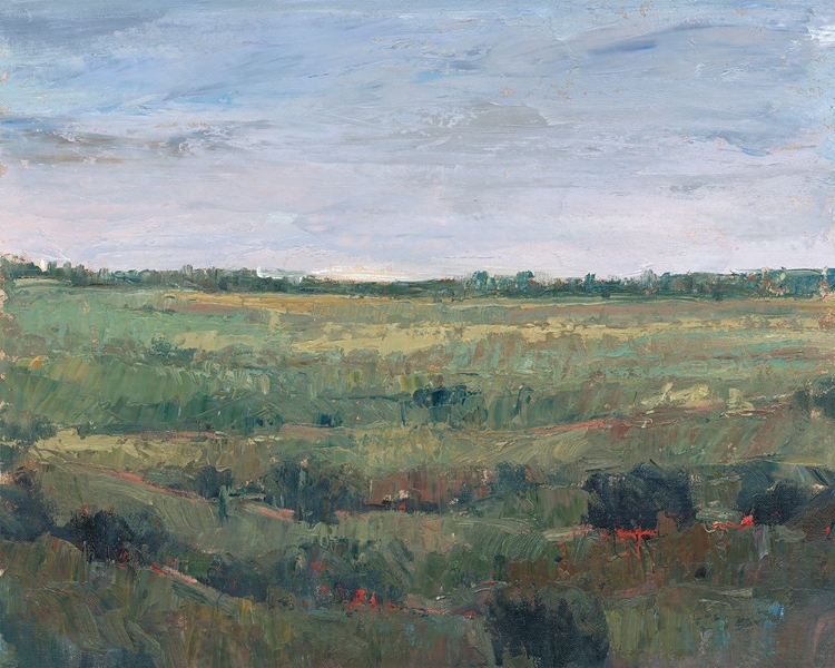 Picture of FIELD STUDY I