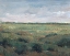 Picture of FIELD STUDY II