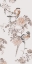 Picture of BIRDS OF ASIA II