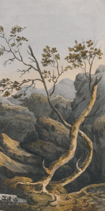 Picture of CHINESE LANDSCAPE I
