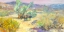 Picture of DESERT GARDEN