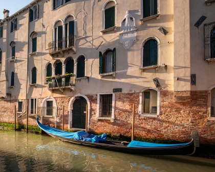 Picture of GOOD MORNING VENICE