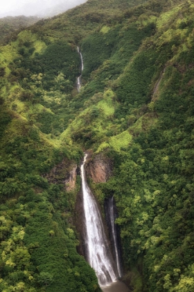 Picture of JARASSIC FALLS