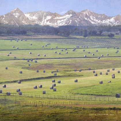 Picture of CHERRY CREEK HAYBALES