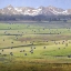 Picture of CHERRY CREEK HAYBALES