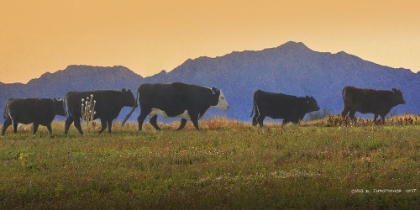 Picture of FIVE COWS IN A ROW