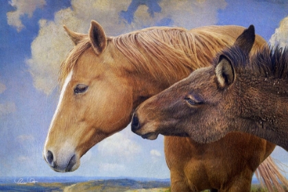 Picture of HORSE AND MULE