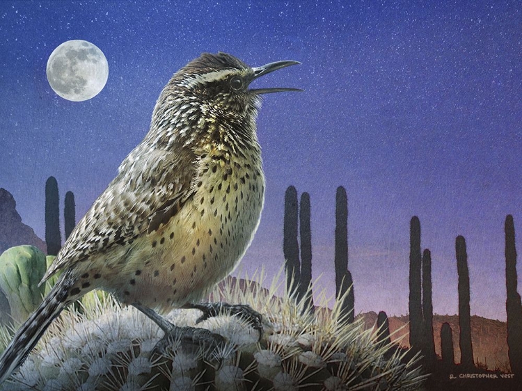 Picture of SAGUARO CACTUS WREN BY MOONLIGHT