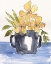 Picture of OCHRE BLOOMS II