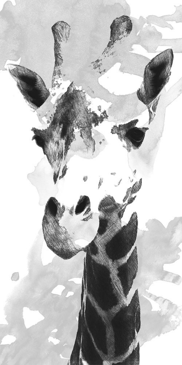 Picture of GIRAFFE STUDY  I