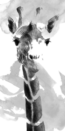 Picture of GIRAFFE STUDY  II