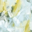 Picture of CITRON MAZE IV