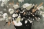Picture of DARK FLOWER AESTHETIC  II