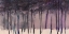 Picture of MISTY TREE LINE II