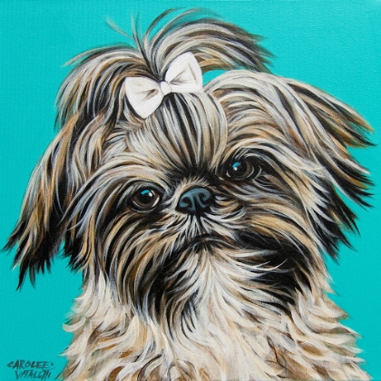 Picture of GIRLY SHIH TZU