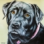 Picture of REALISTIC BLACK LAB
