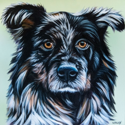 Picture of REALISTIC AUSTRALIAN SHEPARD