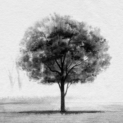 Picture of STOIC TREE I